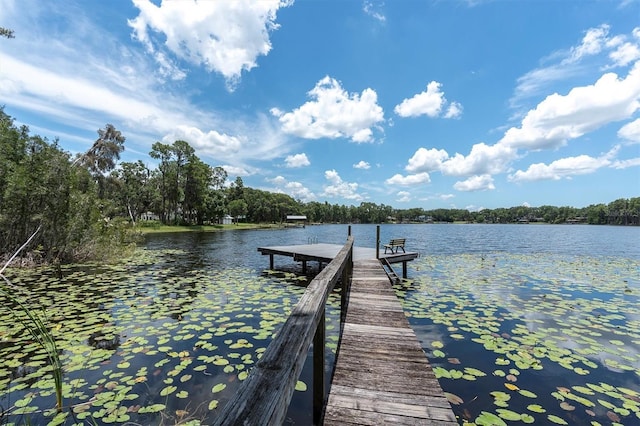 11008 Nest Ct, Odessa, FL 33556 - photo 3