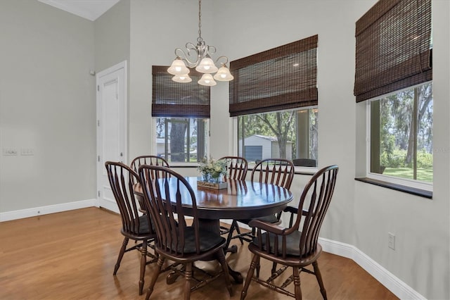 11008 Nest Ct, Odessa, FL 33556 - photo 17