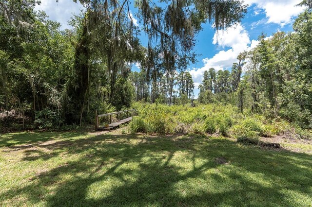 11008 Nest Ct, Odessa, FL 33556 - photo 39