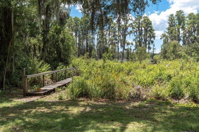 11008 Nest Ct, Odessa, FL 33556 - photo 40