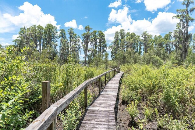 11008 Nest Ct, Odessa, FL 33556 - photo 41