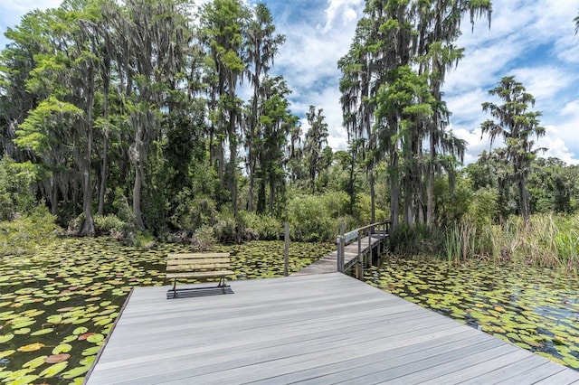 11008 Nest Ct, Odessa, FL 33556 - photo 45