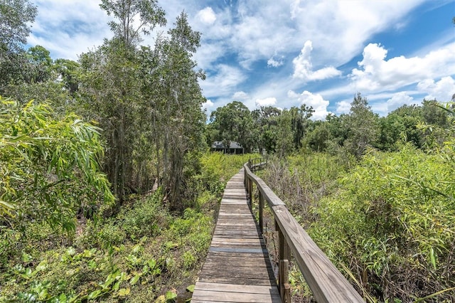11008 Nest Ct, Odessa, FL 33556 - photo 46