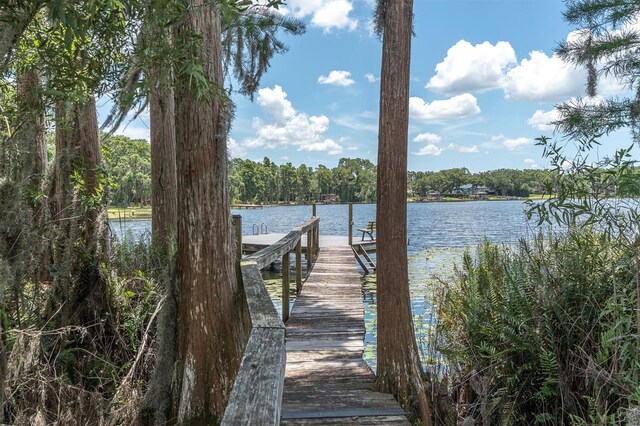 11008 Nest Ct, Odessa, FL 33556 - photo 47