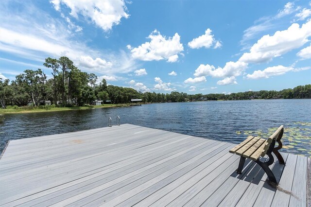 11008 Nest Ct, Odessa, FL 33556 - photo 48