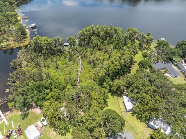 11008 Nest Ct, Odessa, FL 33556 - photo 50
