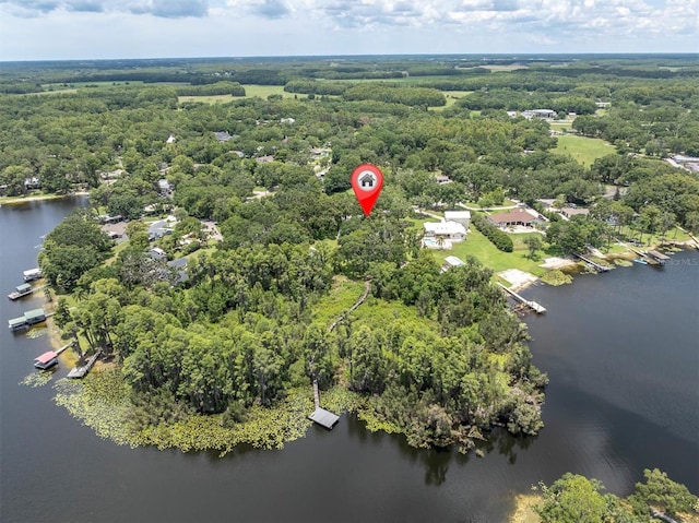11008 Nest Ct, Odessa, FL 33556 - photo 52