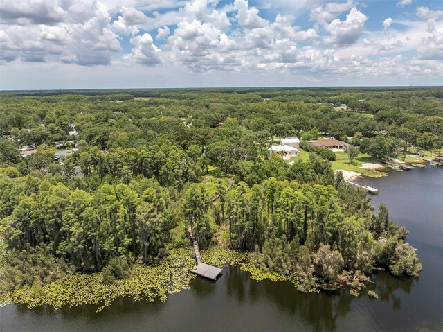 11008 Nest Ct, Odessa, FL 33556 - photo 53