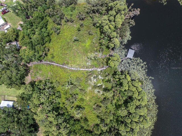 11008 Nest Ct, Odessa, FL 33556 - photo 54