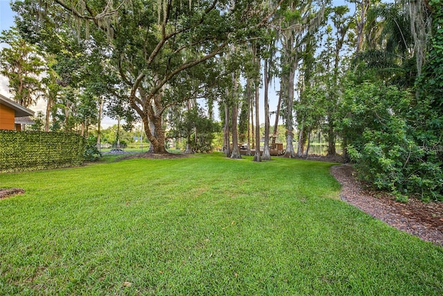 3620 Little Rd, Lutz, FL 33548 - photo 51
