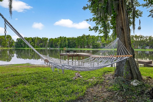 3620 Little Rd, Lutz, FL 33548 - photo 4
