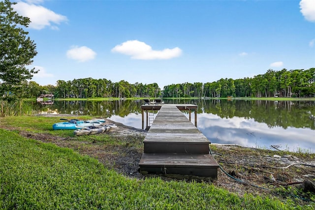 3620 Little Rd, Lutz, FL 33548 - photo 66