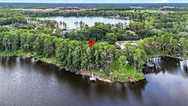 3620 Little Rd, Lutz, FL 33548 - photo 72