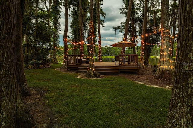 3620 Little Rd, Lutz, FL 33548 - photo 80