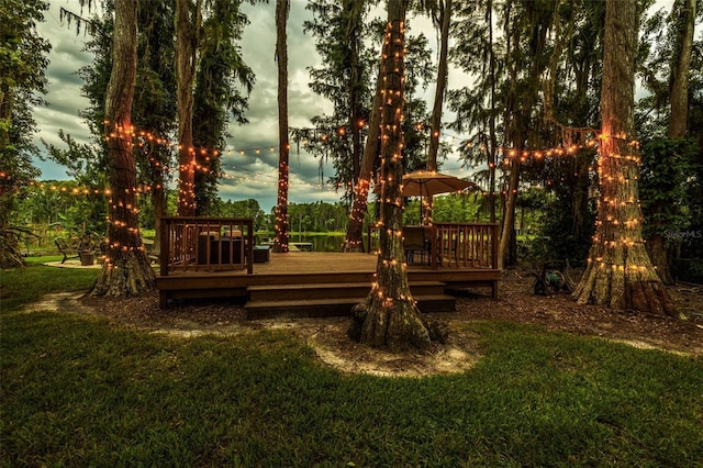 3620 Little Rd, Lutz, FL 33548 - photo 81