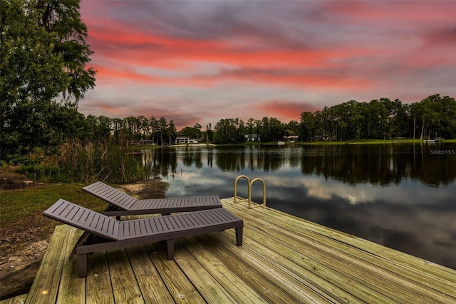 3620 Little Rd, Lutz, FL 33548 - photo 99