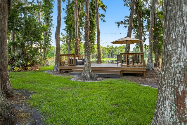 3620 Little Rd, Lutz, FL 33548 - photo 58