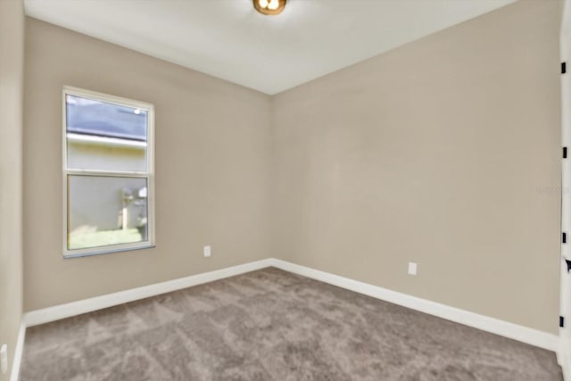 2120 Gwynhurst Blvd, Wesley Chapel, FL 33543 - empty room with carpet flooring and baseboards