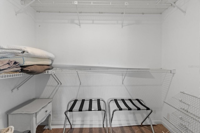 10584 N Dawnflower Pt, Crystal River, FL 34428 - view of spacious closet