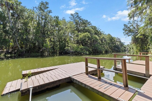 10584 N Dawnflower Pt, Crystal River, FL 34428 - dock area featuring a water view and view of wooded area