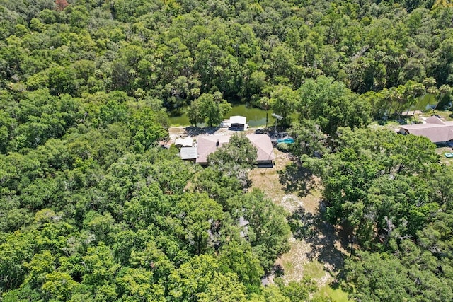 10584 N Dawnflower Pt, Crystal River, FL 34428 - drone / aerial view of a forest