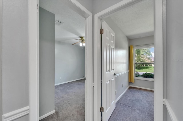 9403 Bellhaven St, Temple Terrace, FL 33637 - photo 33
