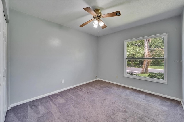 9403 Bellhaven St, Temple Terrace, FL 33637 - photo 35
