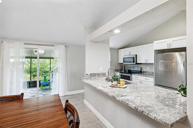 602 Timber Bay Cir W, Oldsmar, FL 34677 - kitchen with appliances with stainless steel finishes, a peninsula, light stone countertops, light wood finished floors, and vaulted ceiling