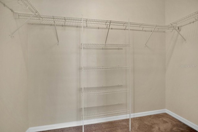 12975 Calderdale Ave, Windermere, FL 34786 - spacious closet featuring carpet