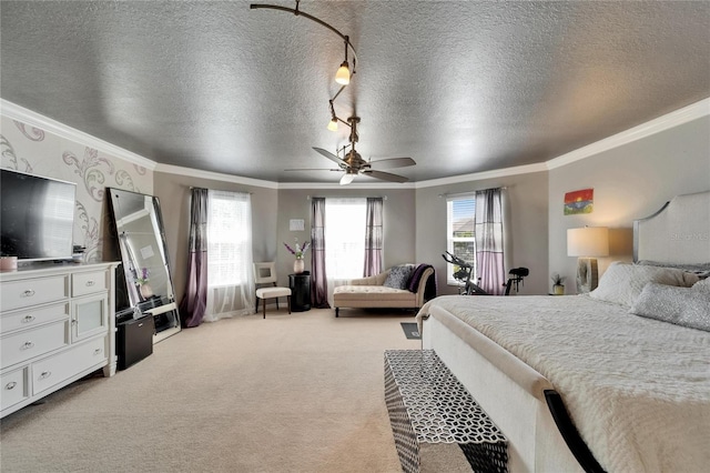 13252 Graham Yarden Dr, Riverview, FL 33579 - photo 40