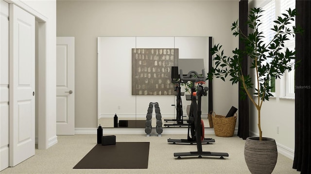 6830 E 115th St, Palmetto, FL 34221 - workout room with carpet flooring