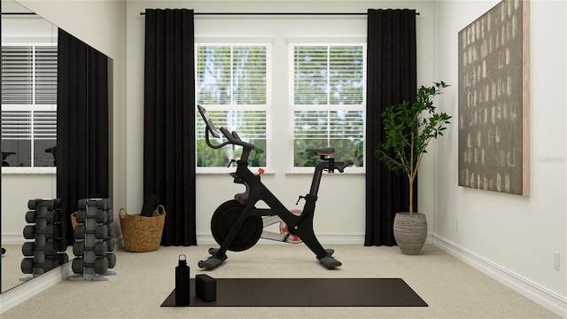 6830 E 115th St, Palmetto, FL 34221 - workout area featuring carpet flooring and baseboards