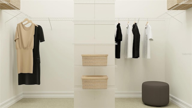 6830 E 115th St, Palmetto, FL 34221 - view of walk in closet
