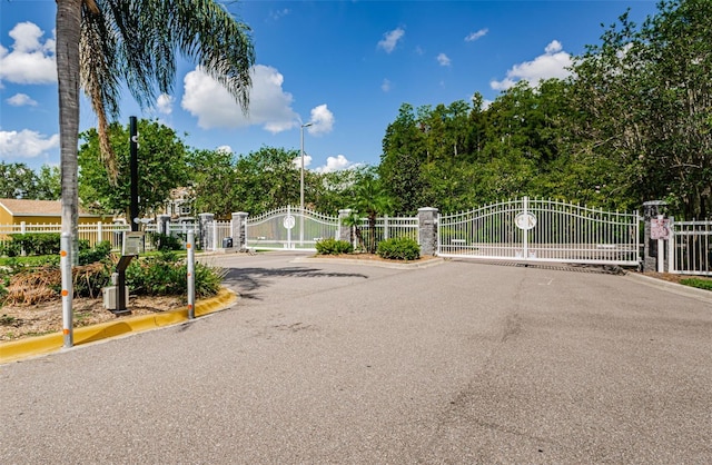 1241 Redondo Way, Wesley Chapel, FL 33543 - view of asphalt road featuring a gate, curbs, and a gated entry