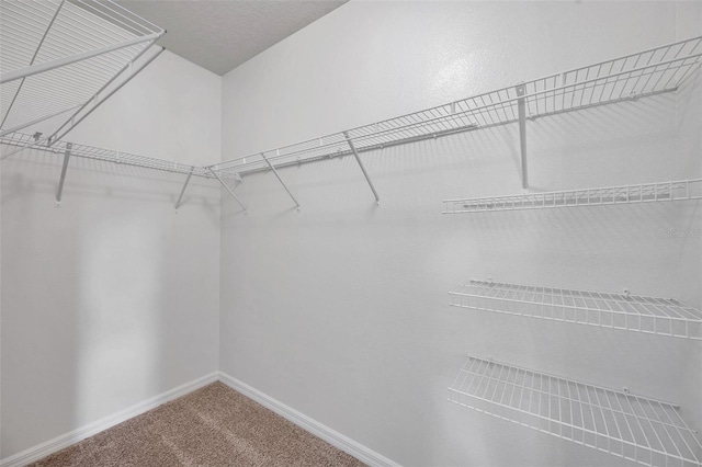 30732 Summer Sun Loop, Wesley Chapel, FL 33545 - spacious closet with carpet floors