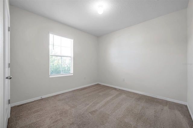 30732 Summer Sun Loop, Wesley Chapel, FL 33545 - photo 15