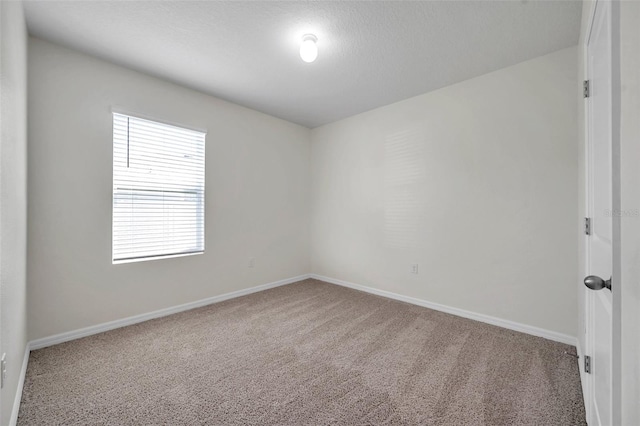 30732 Summer Sun Loop, Wesley Chapel, FL 33545 - photo 19