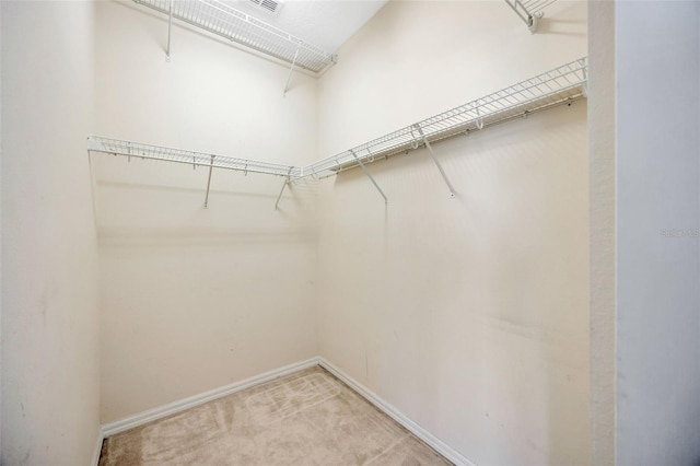 23320 Dinhurst Ct, Land O Lakes, FL 34639 - photo 27