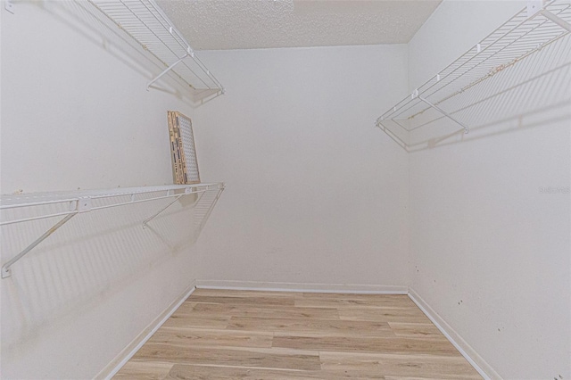 739 Chesapeake Dr, Tarpon Springs, FL 34689 - spacious closet featuring light wood-style floors