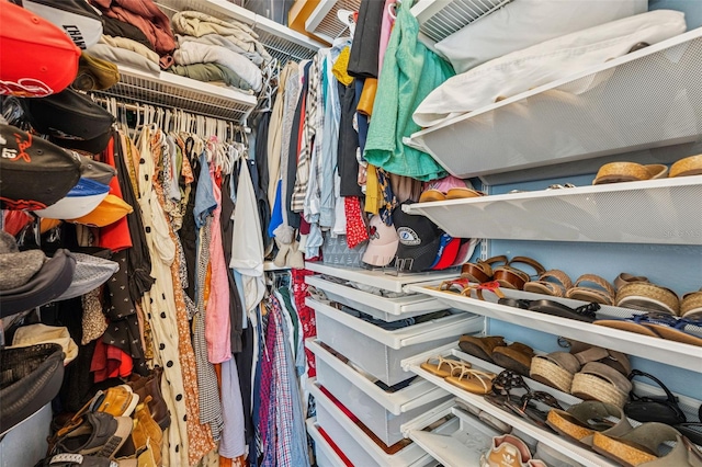 10409 Glen Willow Ln, Tampa, FL 33647 - view of spacious closet