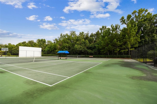 17914 Howsmoor Pl, Lutz, FL 33559 - photo 94