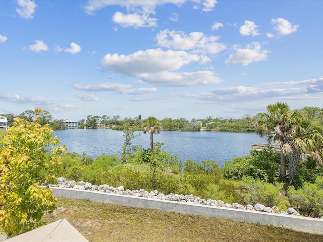6707 Wander Ln, New Port Richey, FL 34654 - photo 10