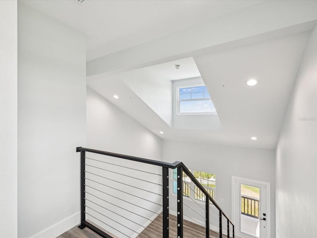 6707 Wander Ln, New Port Richey, FL 34654 - photo 24