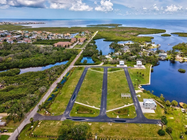 6707 Wander Ln, New Port Richey, FL 34654 - photo 46