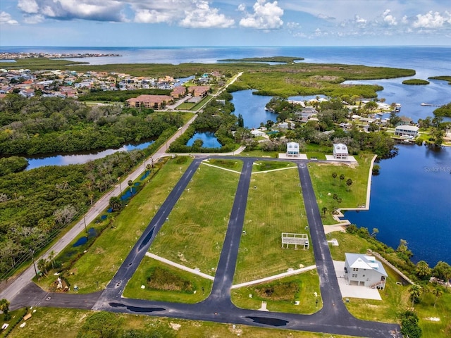 6715 Wander Ln, New Port Richey, FL 34654 - photo 33