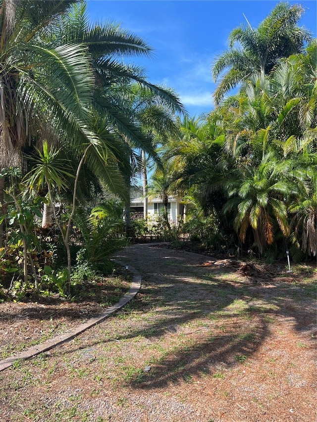 715 Riverside Dr, Tarpon Springs, FL 34689 - photo 4