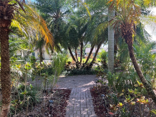 715 Riverside Dr, Tarpon Springs, FL 34689 - photo 5