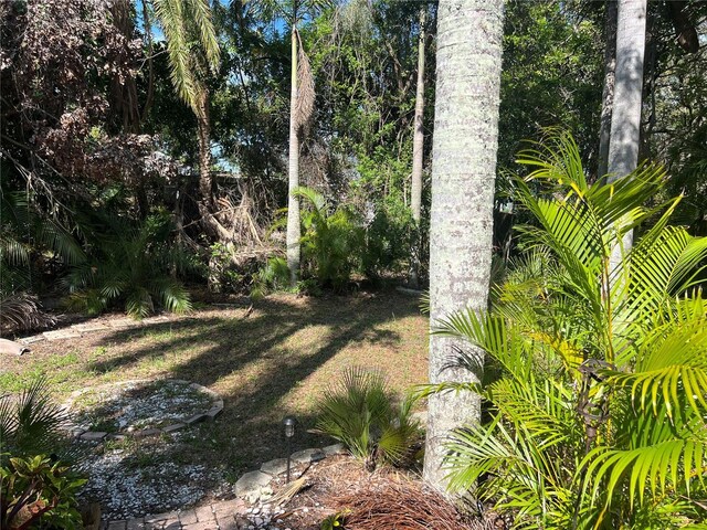 715 Riverside Dr, Tarpon Springs, FL 34689 - photo 7