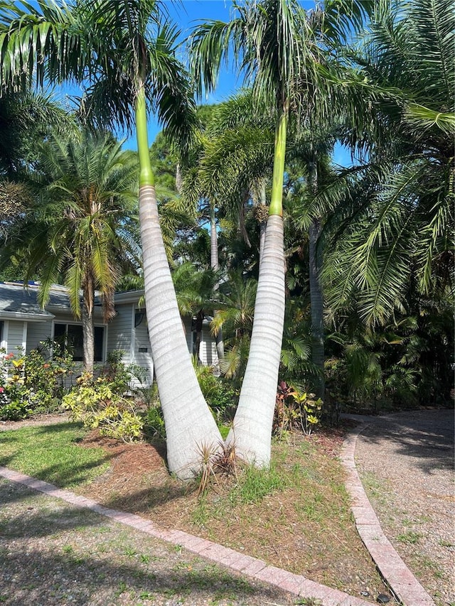 715 Riverside Dr, Tarpon Springs, FL 34689 - photo 8