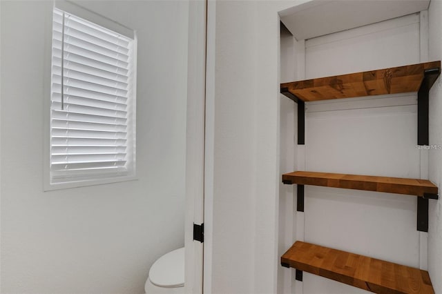 1320 Dixie Ln S, Saint Petersburg, FL 33707 - view of closet